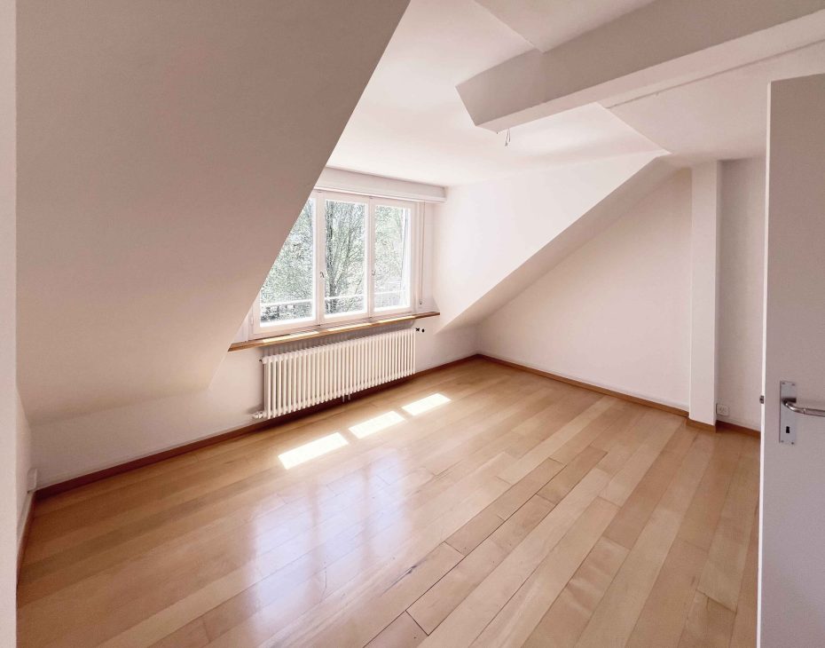 8_schweizergasse_attika